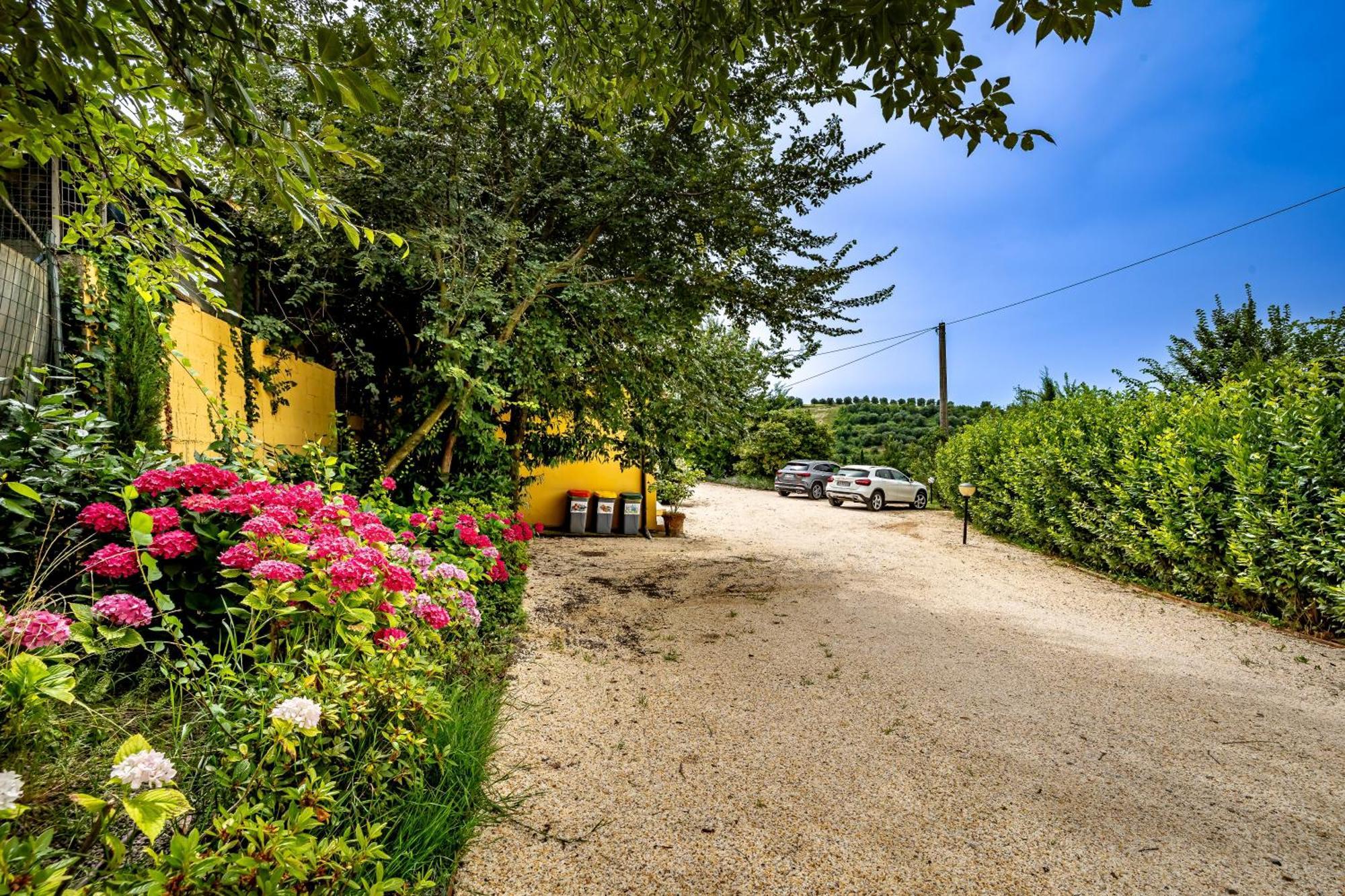 Casale Il Fontanellino - Country House Near Florence San Miniato Exteriör bild